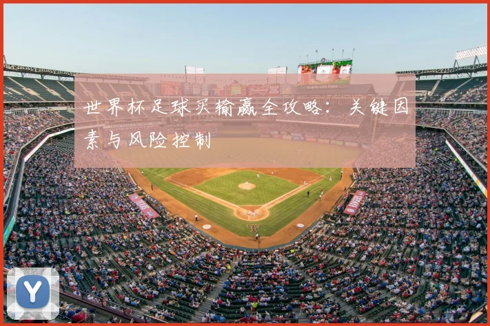 世界杯足球买输赢全攻略：关键因素与风险控制
