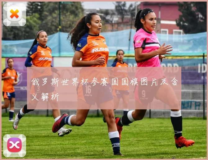 俄罗斯世界杯参赛国国旗图片及含义解析