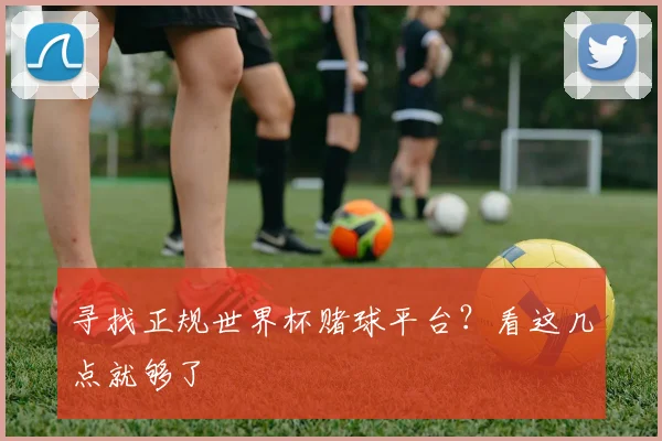 寻找正规世界杯赌球平台？看这几点就够了