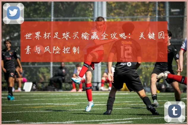 世界杯足球买输赢全攻略：关键因素与风险控制
