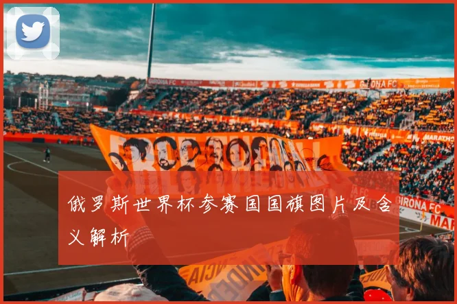 俄罗斯世界杯参赛国国旗图片及含义解析