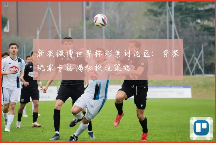 新浪微博世界杯彩票讨论区：资深玩家专访揭秘投注策略