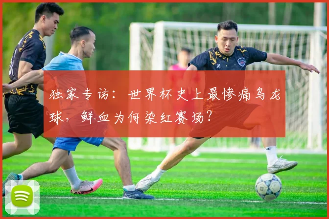 独家专访：世界杯史上最惨痛乌龙球，鲜血为何染红赛场？